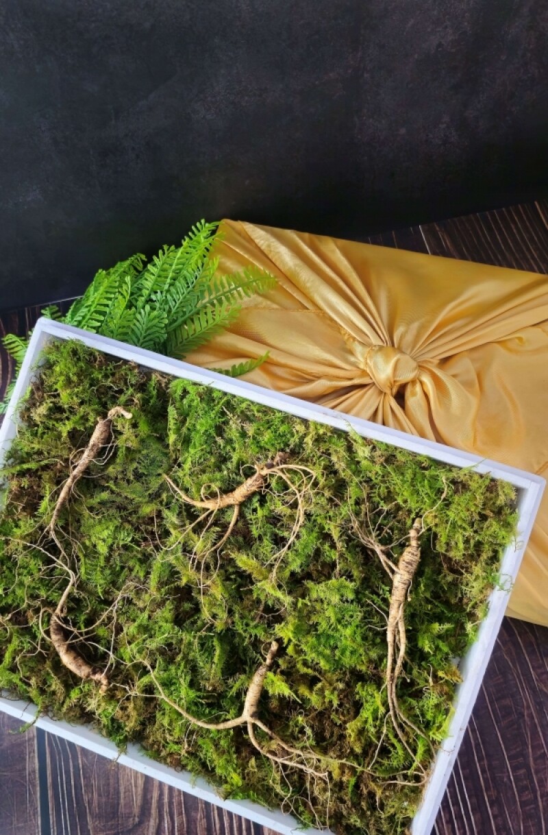 삼선생,삼선생 프리미엄 산양산삼 6-7년근 5뿌리