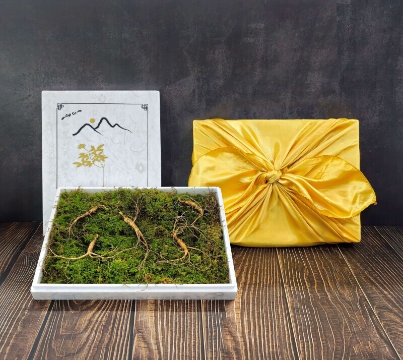 삼선생,삼선생 프리미엄 산양산삼 6-7년근 5뿌리