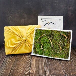 삼선생 프리미엄 산양산삼 6-7년근 10뿌리