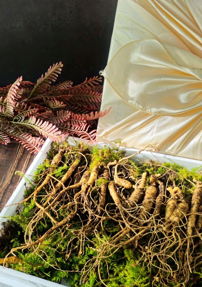 삼선생,삼선생 프리미엄 산양산삼 6-7년근 100g